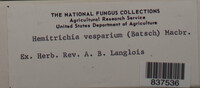 Image Associated With the Occurence